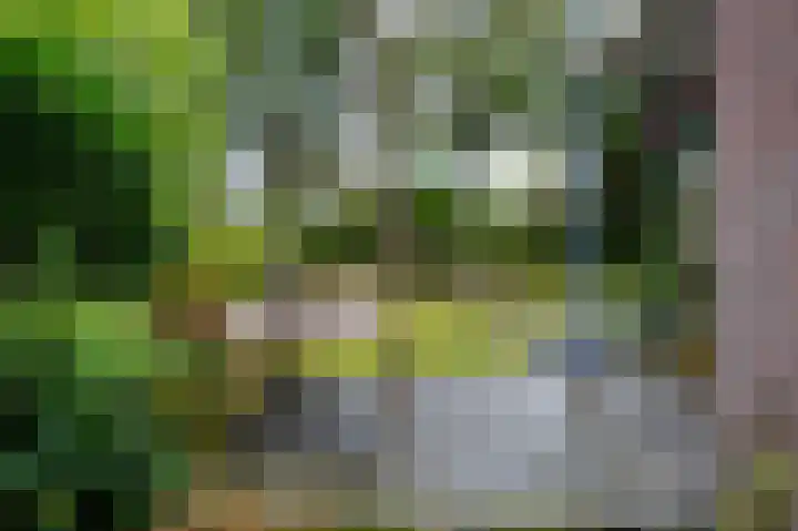 Vestdijklaan 384 Groningen thumbnail 34