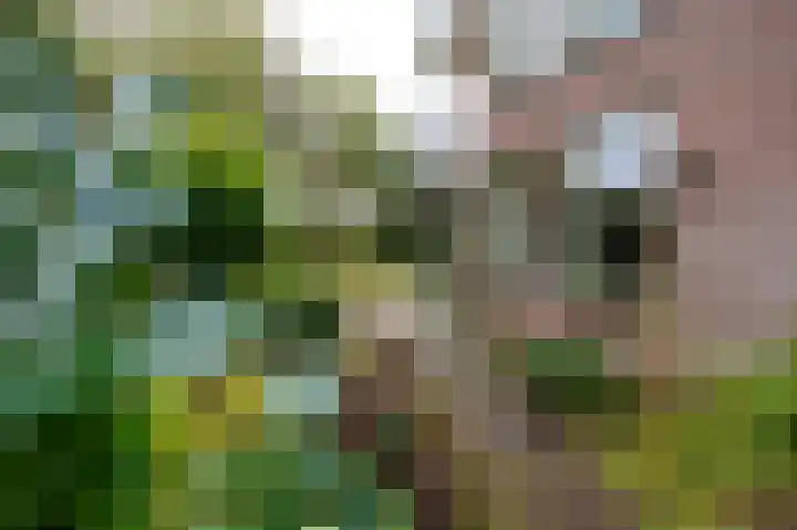 Vestdijklaan 384 Groningen thumbnail 35