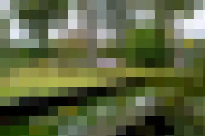 Vestdijklaan 384 Groningen thumbnail 36