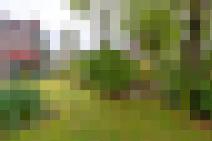Vestdijklaan 384 Groningen thumbnail 37