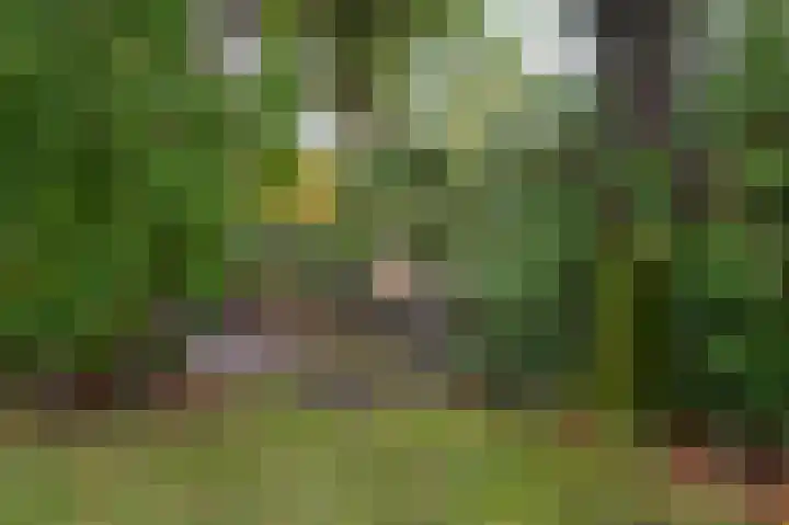 Vestdijklaan 384 Groningen thumbnail 38