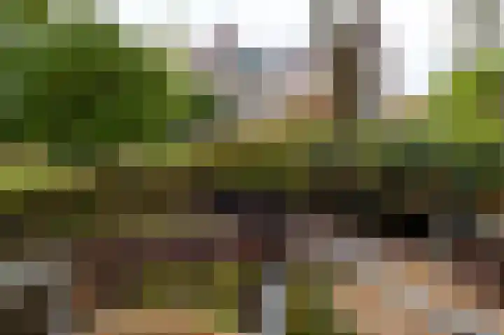 Vestdijklaan 384 Groningen thumbnail 39
