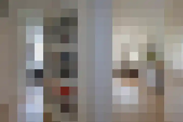 Vestdijklaan 384 Groningen thumbnail 4