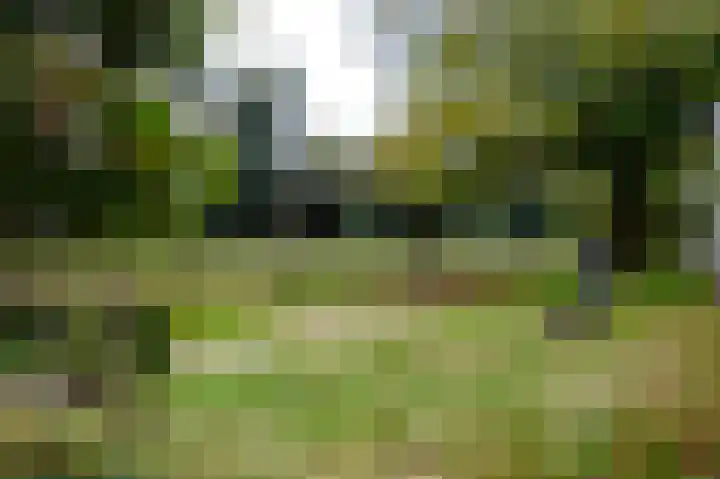 Vestdijklaan 384 Groningen thumbnail 42
