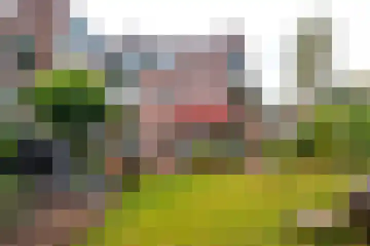 Vestdijklaan 384 Groningen thumbnail 44