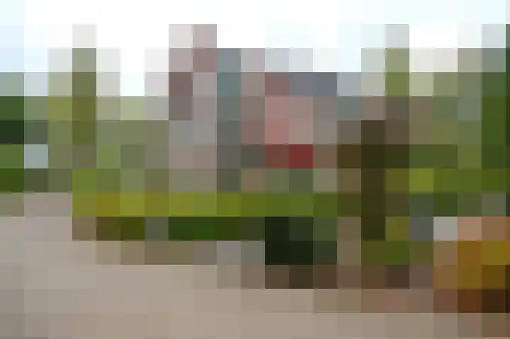 Vestdijklaan 384 Groningen thumbnail 45