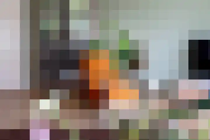 Vestdijklaan 384 Groningen thumbnail 7