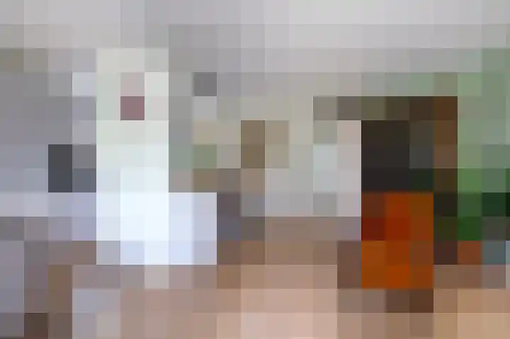 Vestdijklaan 384 Groningen thumbnail 8