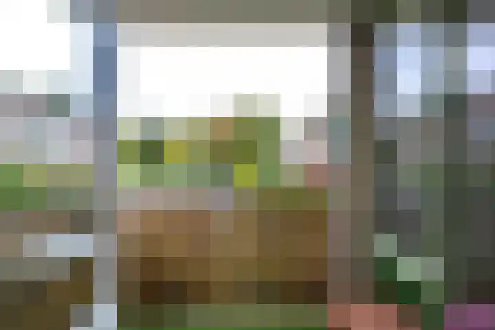 Vestdijklaan 390 Groningen thumbnail 15