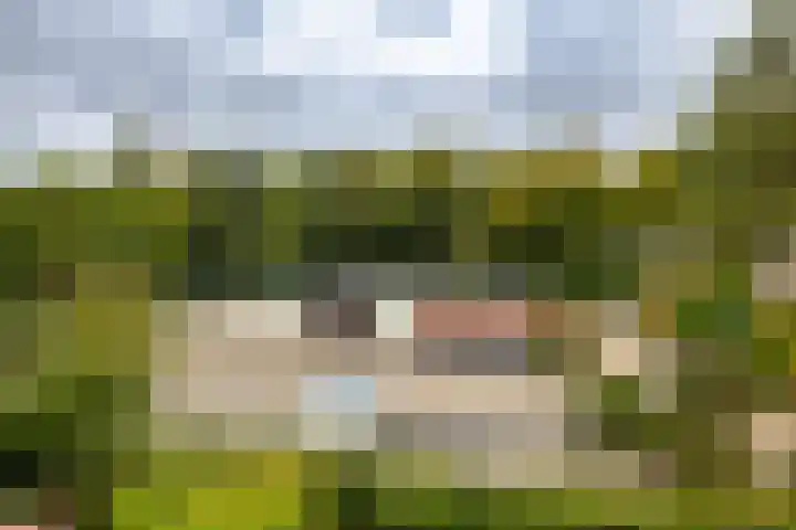 Vestdijklaan 390 Groningen thumbnail 16