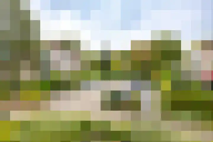 Vestdijklaan 390 Groningen thumbnail 17