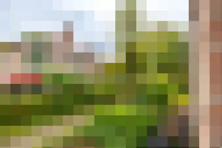 Vestdijklaan 390 Groningen thumbnail 18
