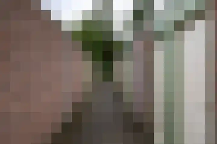 Vestdijklaan 390 Groningen thumbnail 29