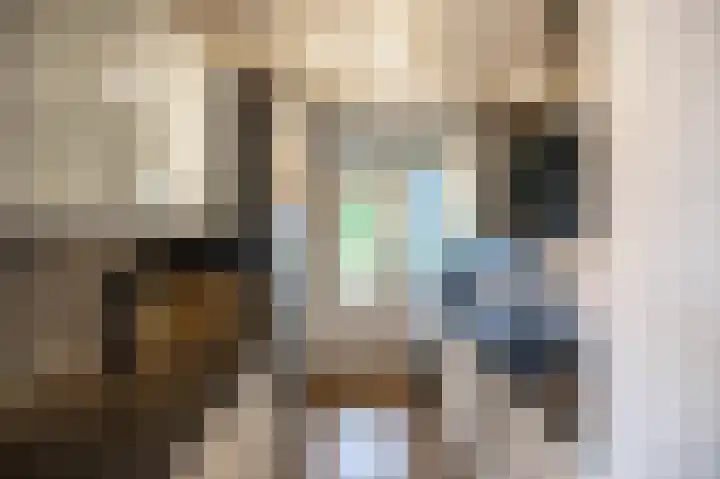 Vestdijklaan 390 Groningen thumbnail 4