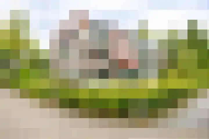Vestdijklaan 390 Groningen thumbnail 5