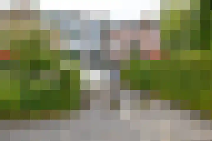 Vestdijklaan 390 Groningen thumbnail 6