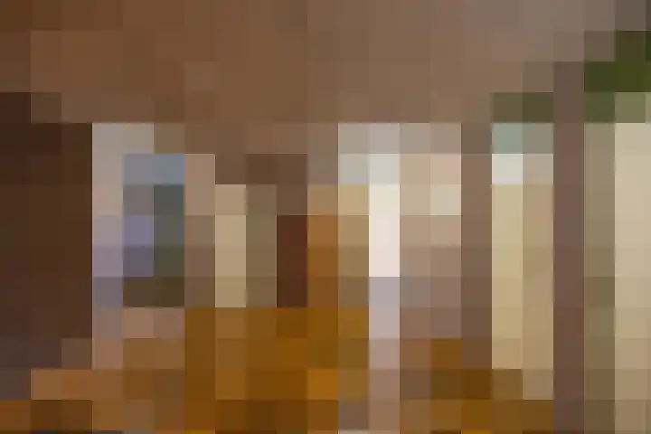 Vestdijklaan 390 Groningen thumbnail 7