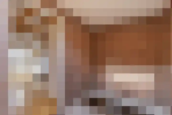 Vestdijklaan 452 Groningen thumbnail 34