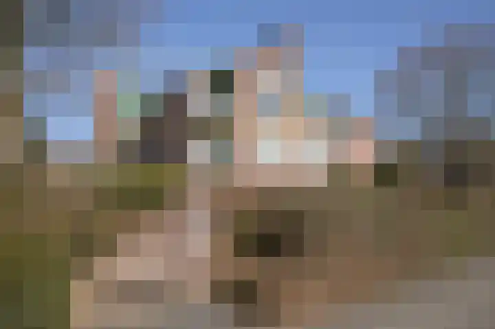 Vestdijklaan 452 Groningen thumbnail 48