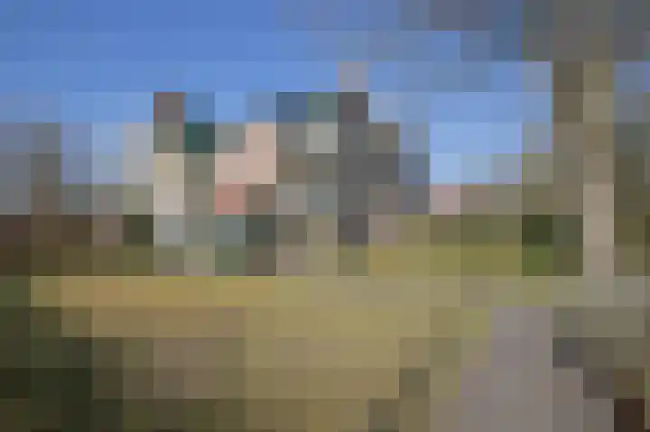 Vestdijklaan 452 Groningen thumbnail 51