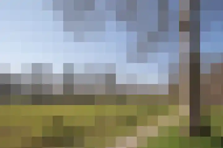 Vestdijklaan 452 Groningen thumbnail 56