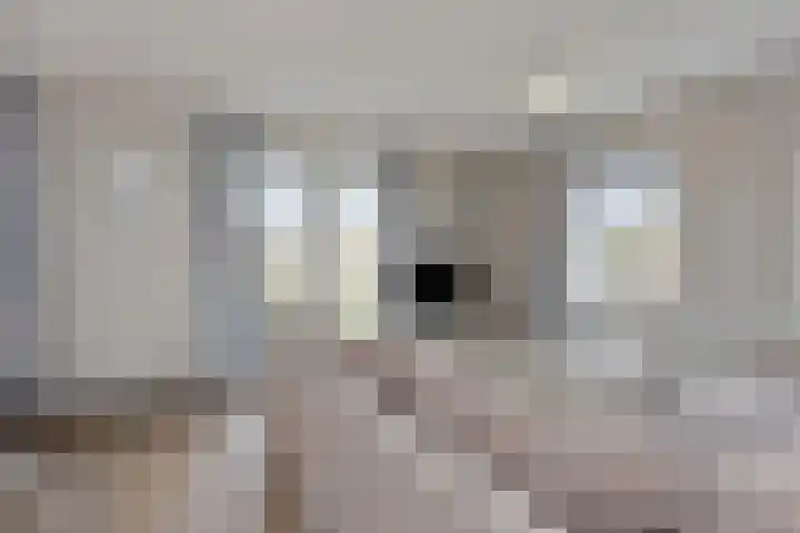 Vestdijklaan 452 Groningen thumbnail 57