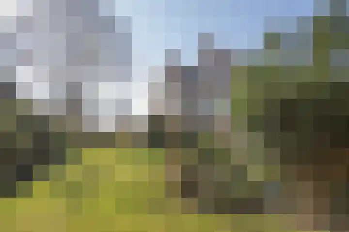 Vestdijklaan 452 Groningen thumbnail 58
