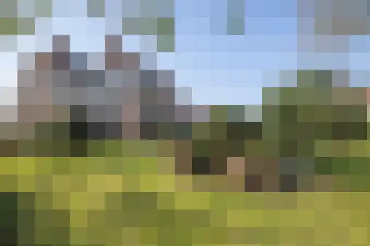 Vestdijklaan 452 Groningen thumbnail 59
