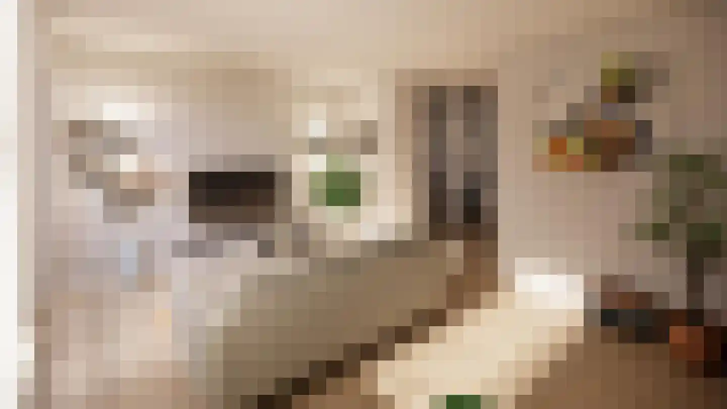 Vestdijklaan 57 Zeist thumbnail 4