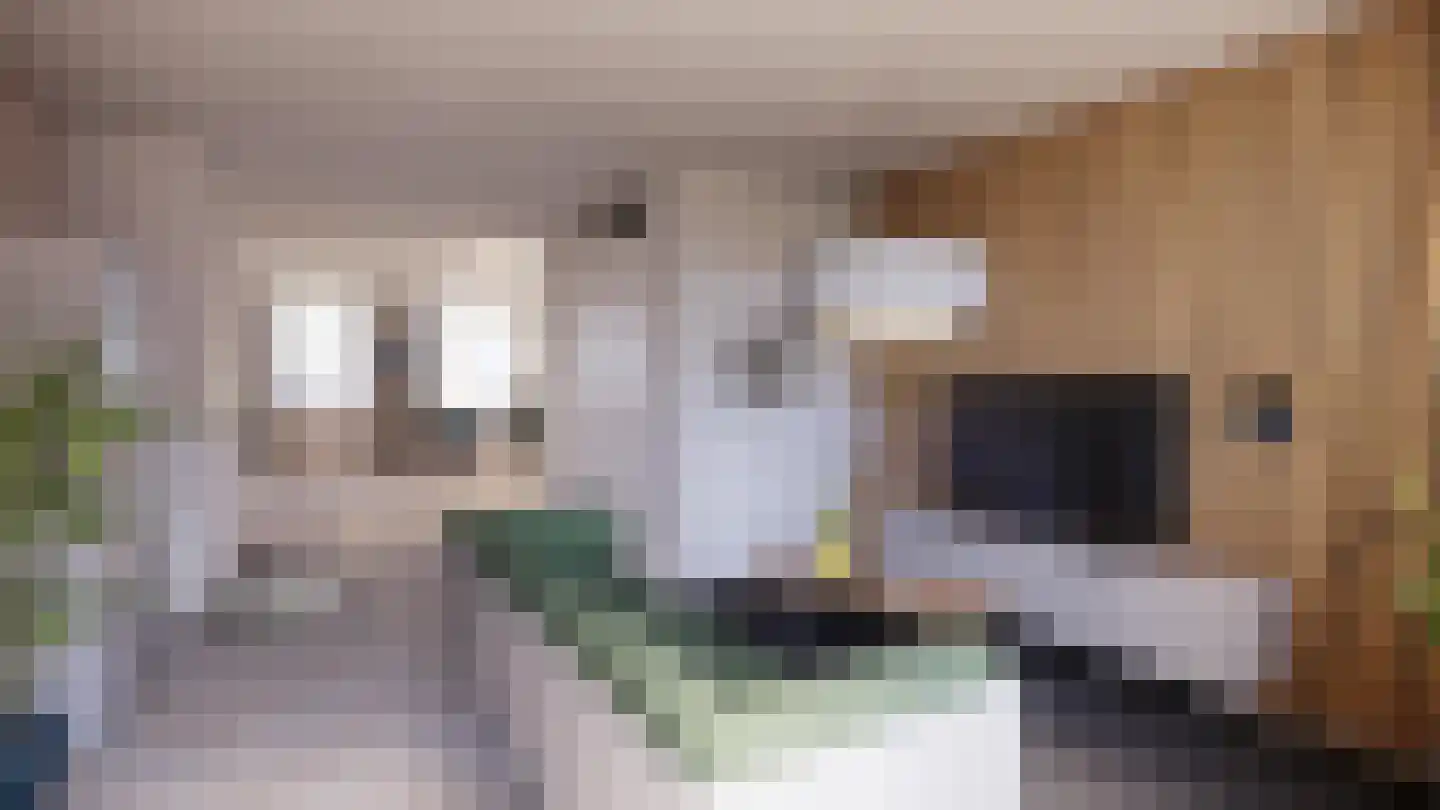 Vestdijklaan 61 Zeist thumbnail 5