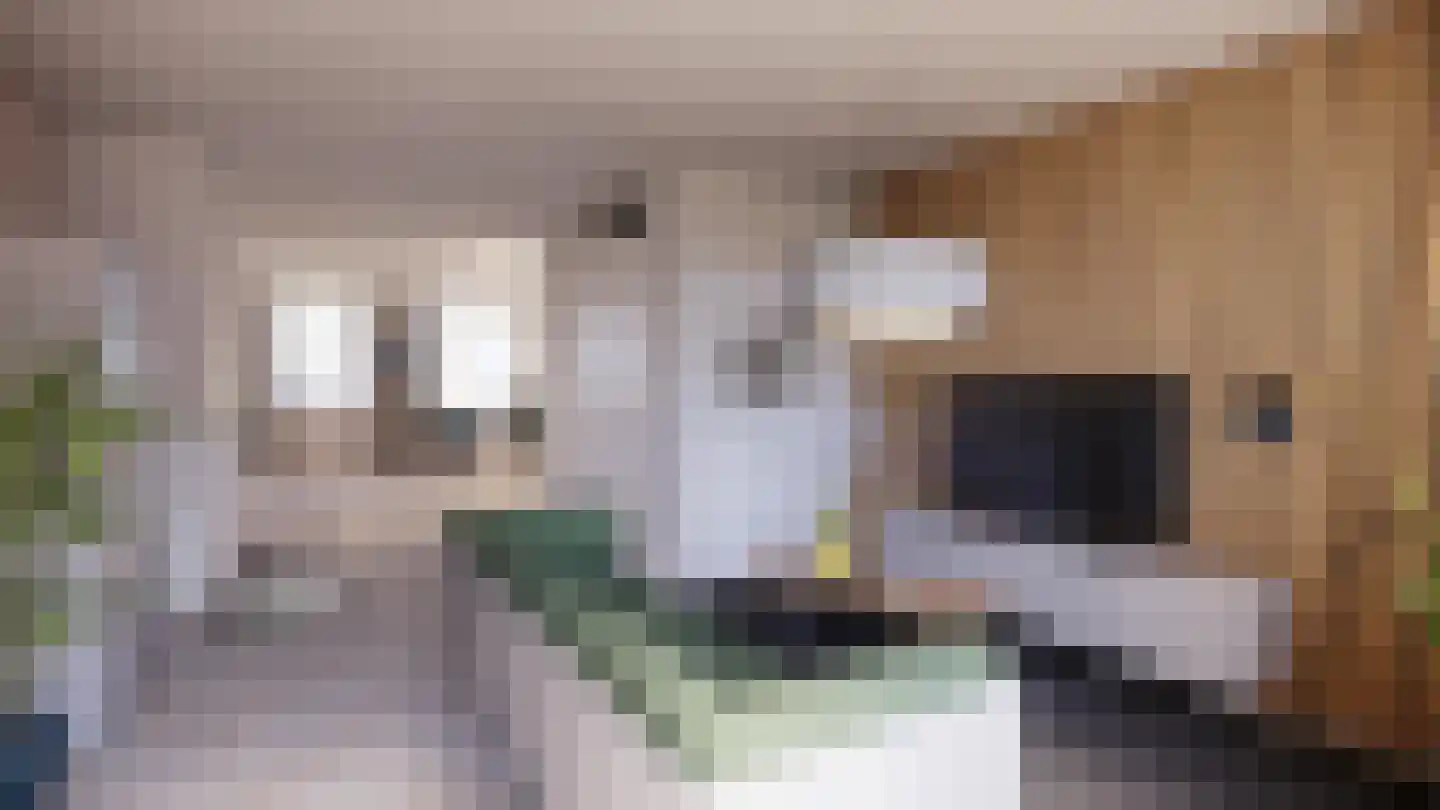 Vestdijklaan 69 Zeist thumbnail 5