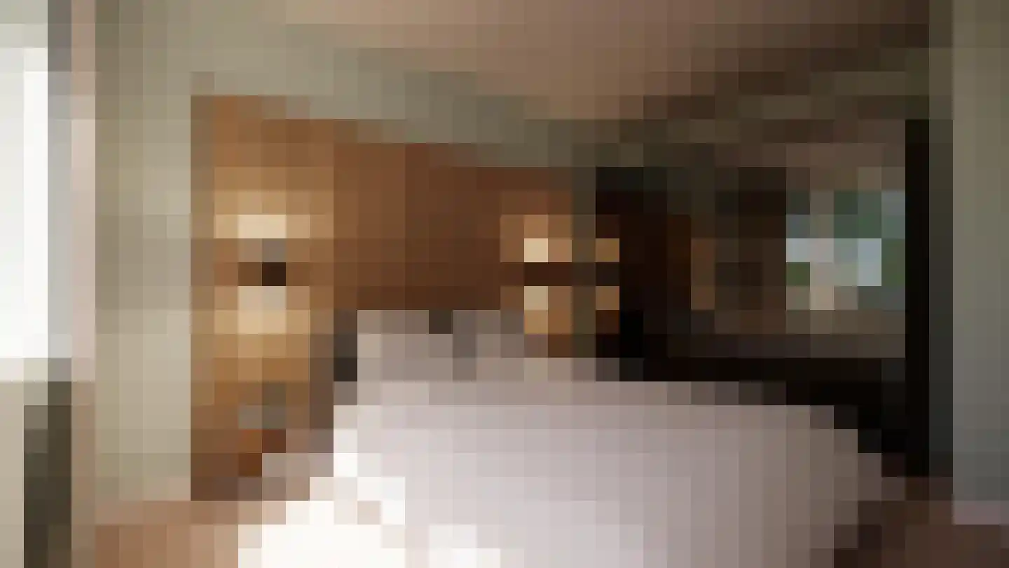 Vestdijklaan 71 Zeist thumbnail 4