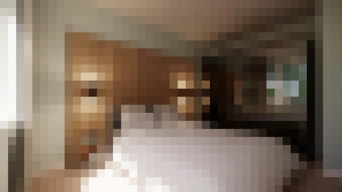 Vestdijklaan 79 Zeist thumbnail 4