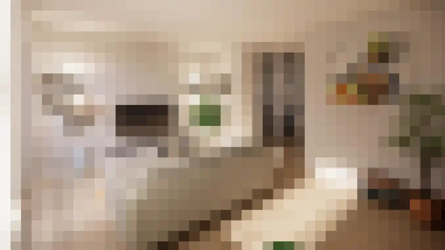 Vestdijklaan 81 Zeist thumbnail 4