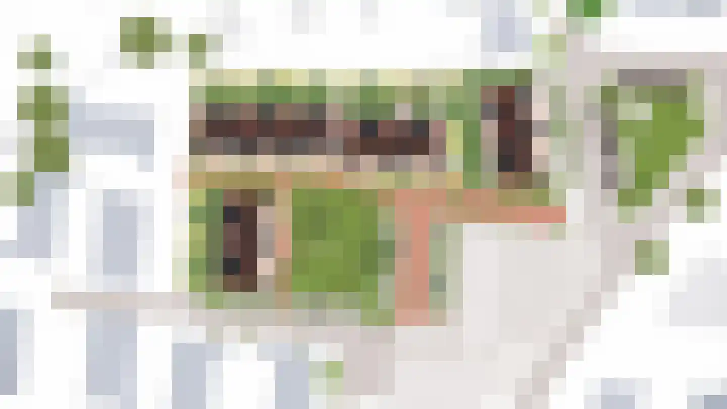 Vestdijklaan 83 Zeist thumbnail 16
