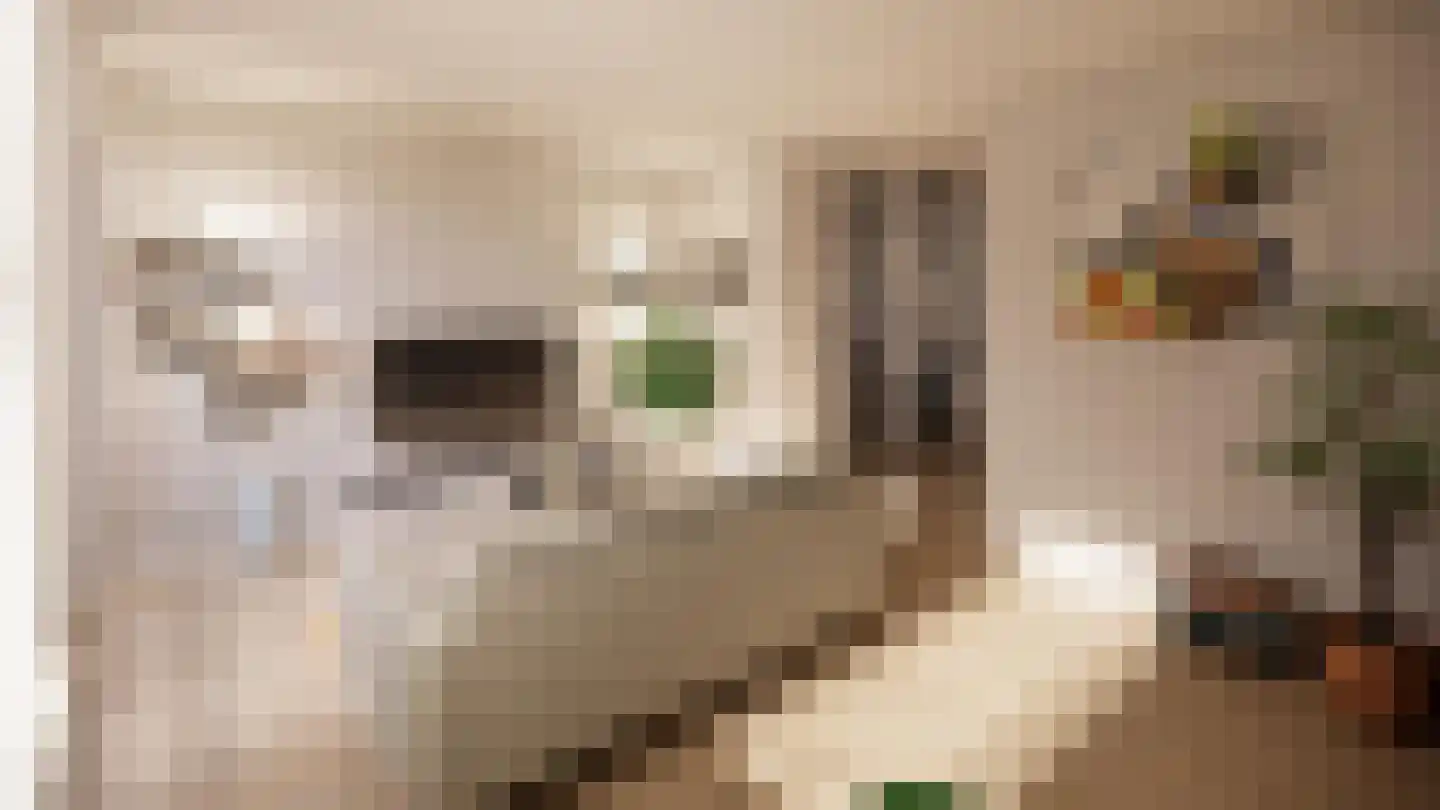 Vestdijklaan 83 Zeist thumbnail 4