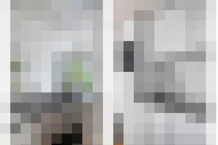 Vestdijkstraat 19 Hulst thumbnail 11