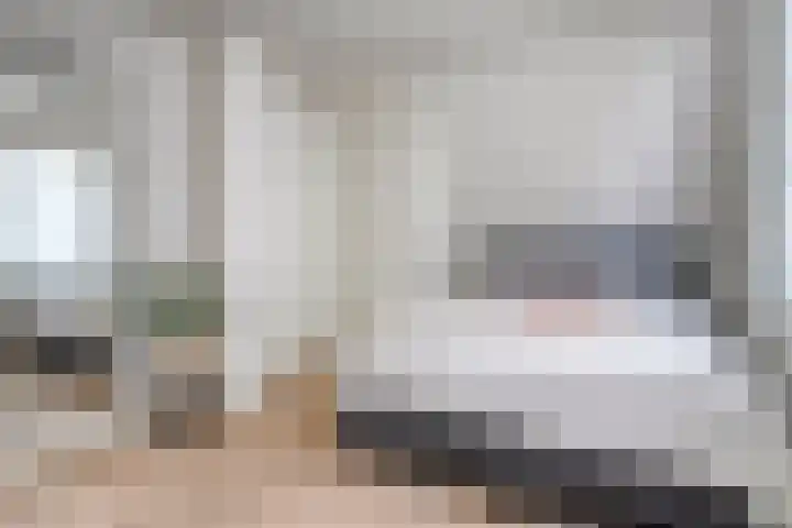 Vestdijkstraat 19 Hulst thumbnail 23