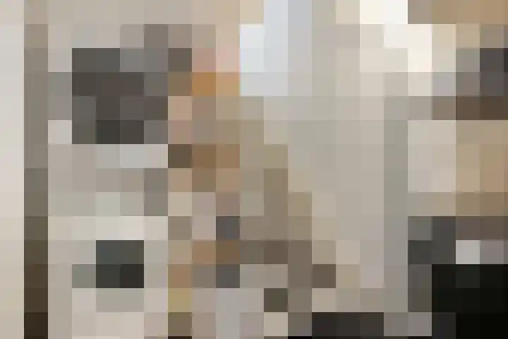 Vestdijkstraat 19 Hulst thumbnail 28