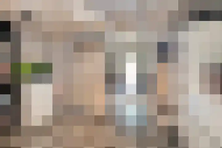 Vestdijkstraat 19 Hulst thumbnail 30