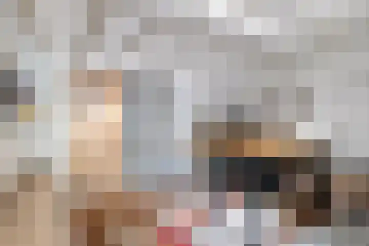 Vestdijkstraat 19 Hulst thumbnail 32