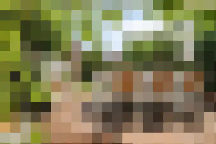 Vestdijkstraat 19 Hulst thumbnail 33