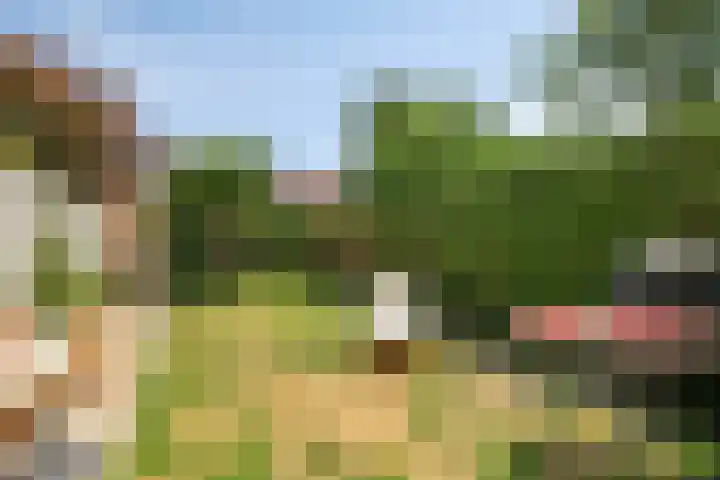 Vestdijkstraat 19 Hulst thumbnail 35