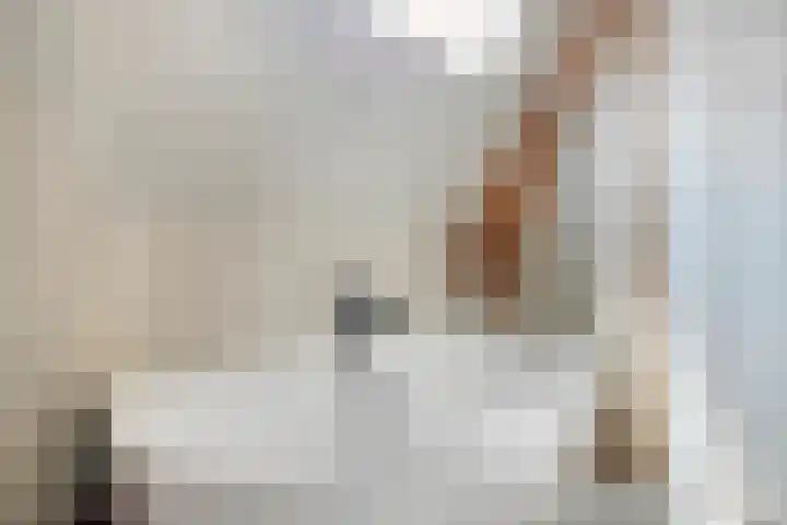 Vestdijkstraat 19 Hulst thumbnail 4