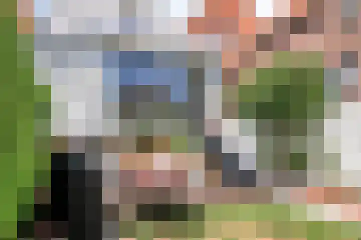 Vestdijkstraat 19 Hulst thumbnail 5