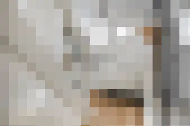 Vestdijkstraat 19 Hulst thumbnail 8