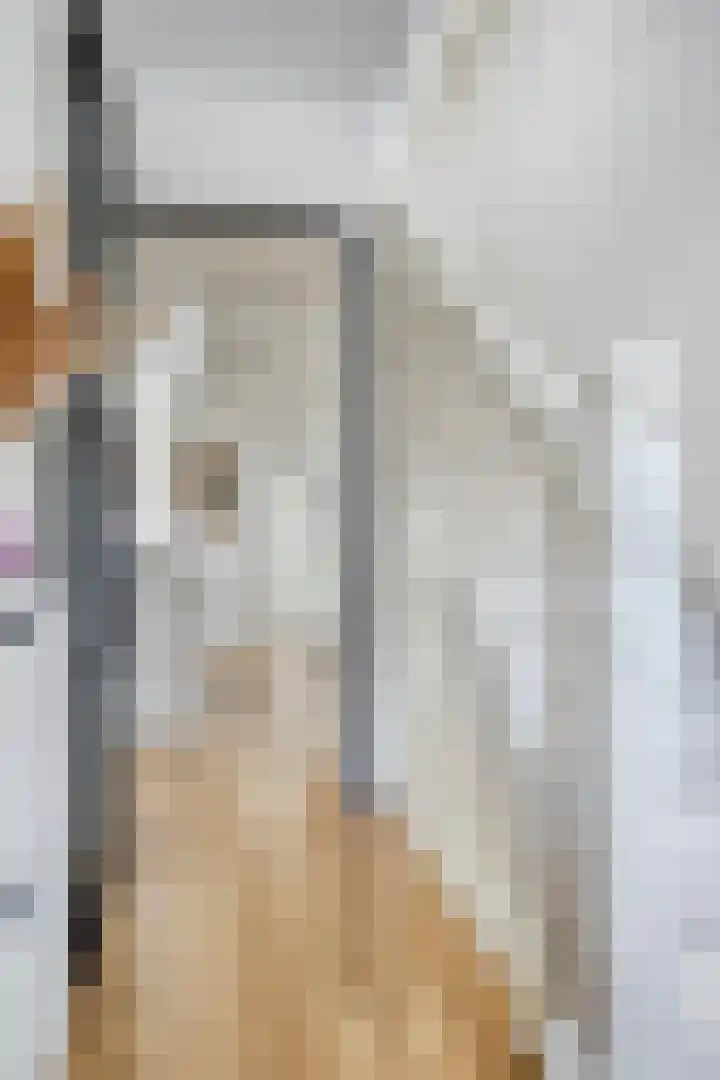 Vestdijkstraat 19 Hulst thumbnail 9