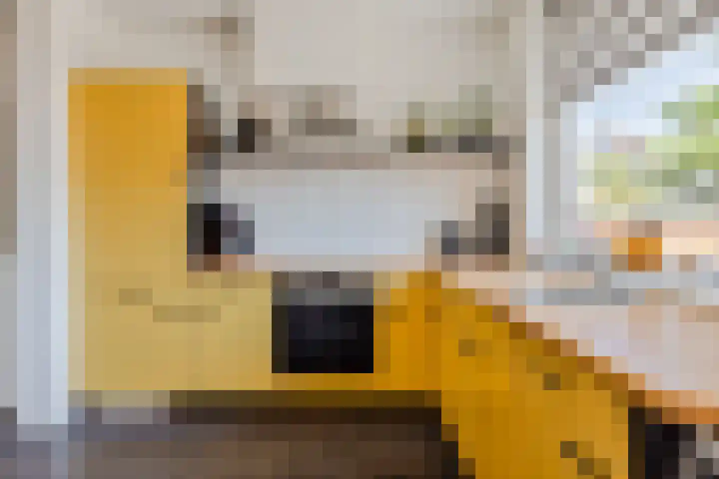 Vestdijkstraat 23 Hulst thumbnail 12