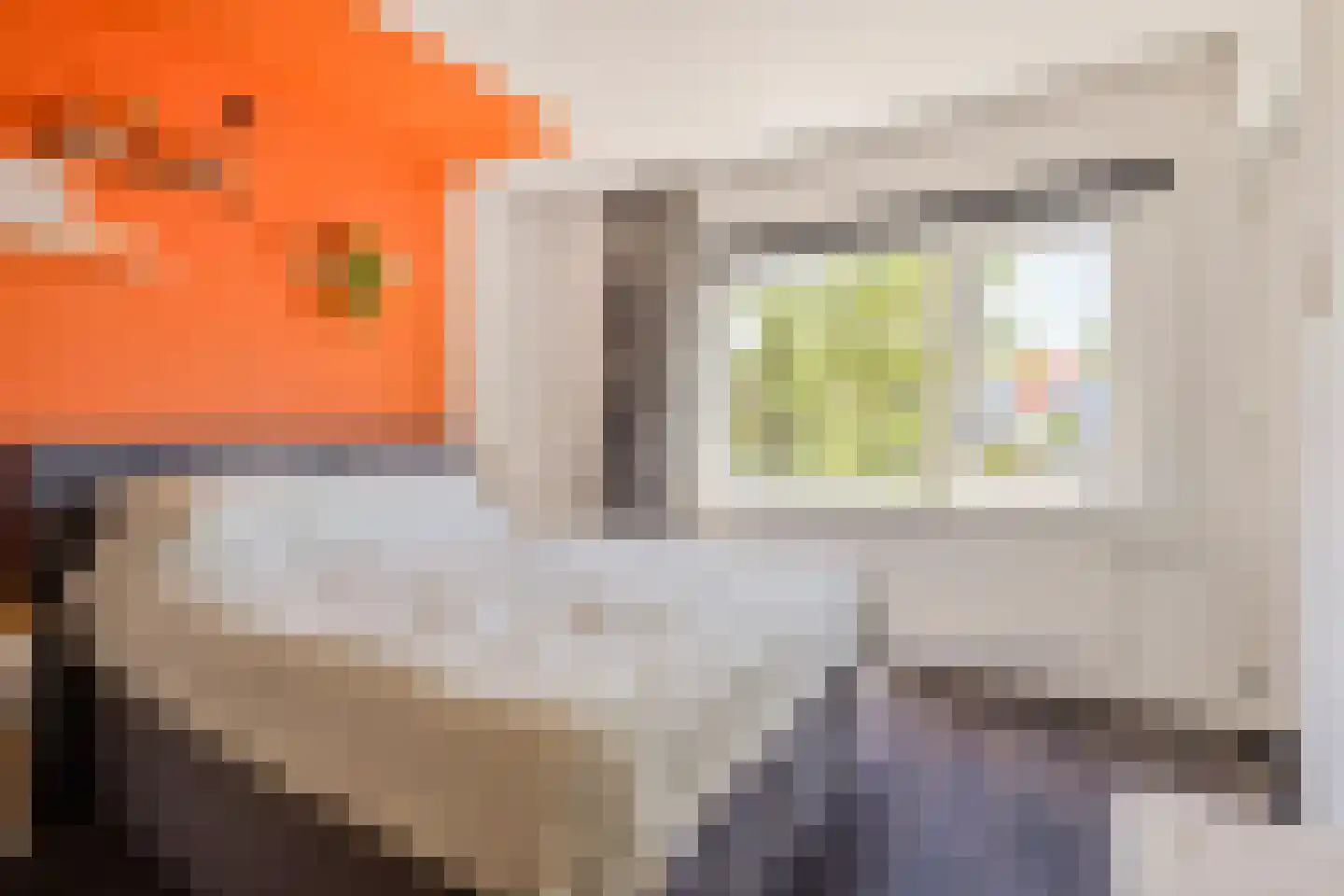Vestdijkstraat 23 Hulst thumbnail 18