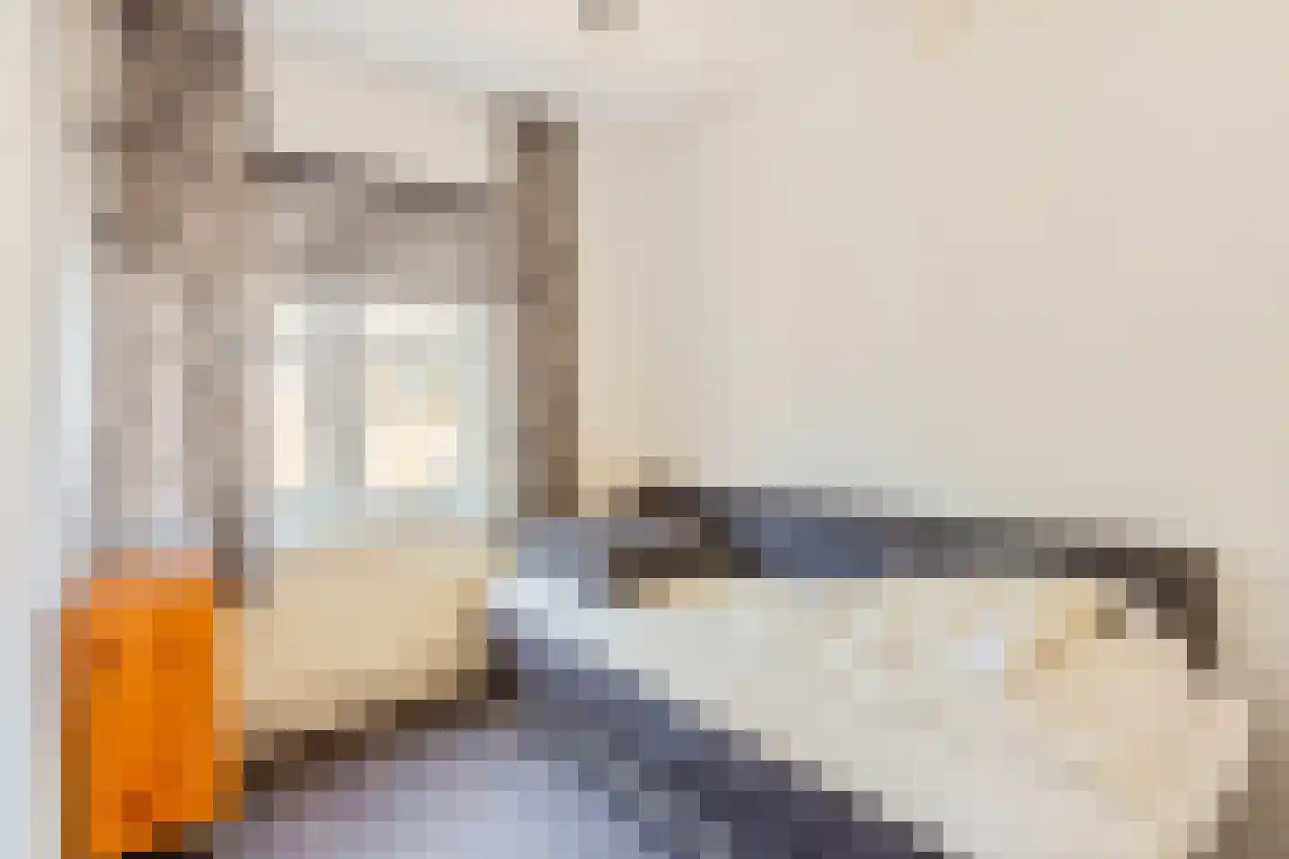Vestdijkstraat 23 Hulst thumbnail 21